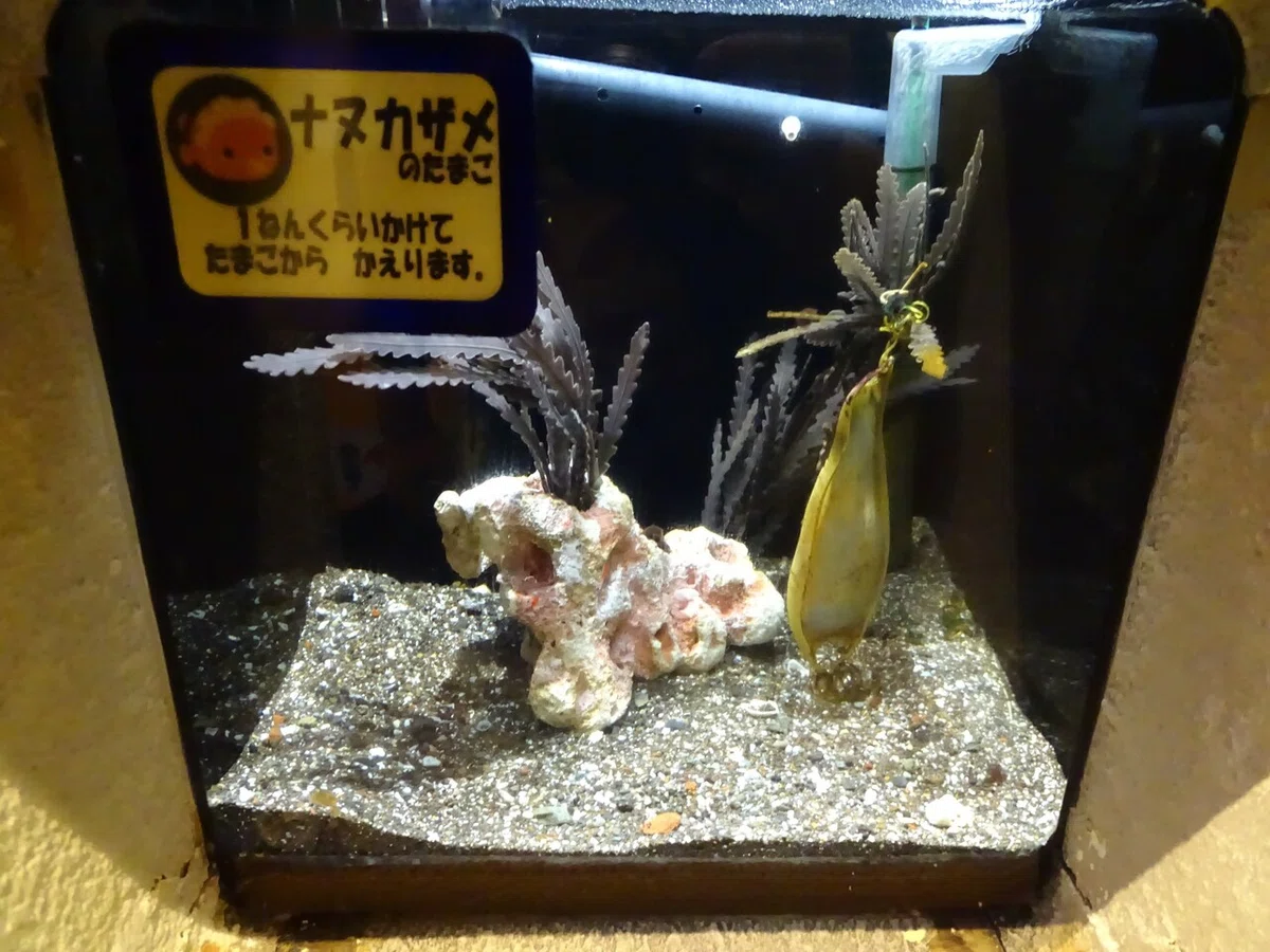 画像138