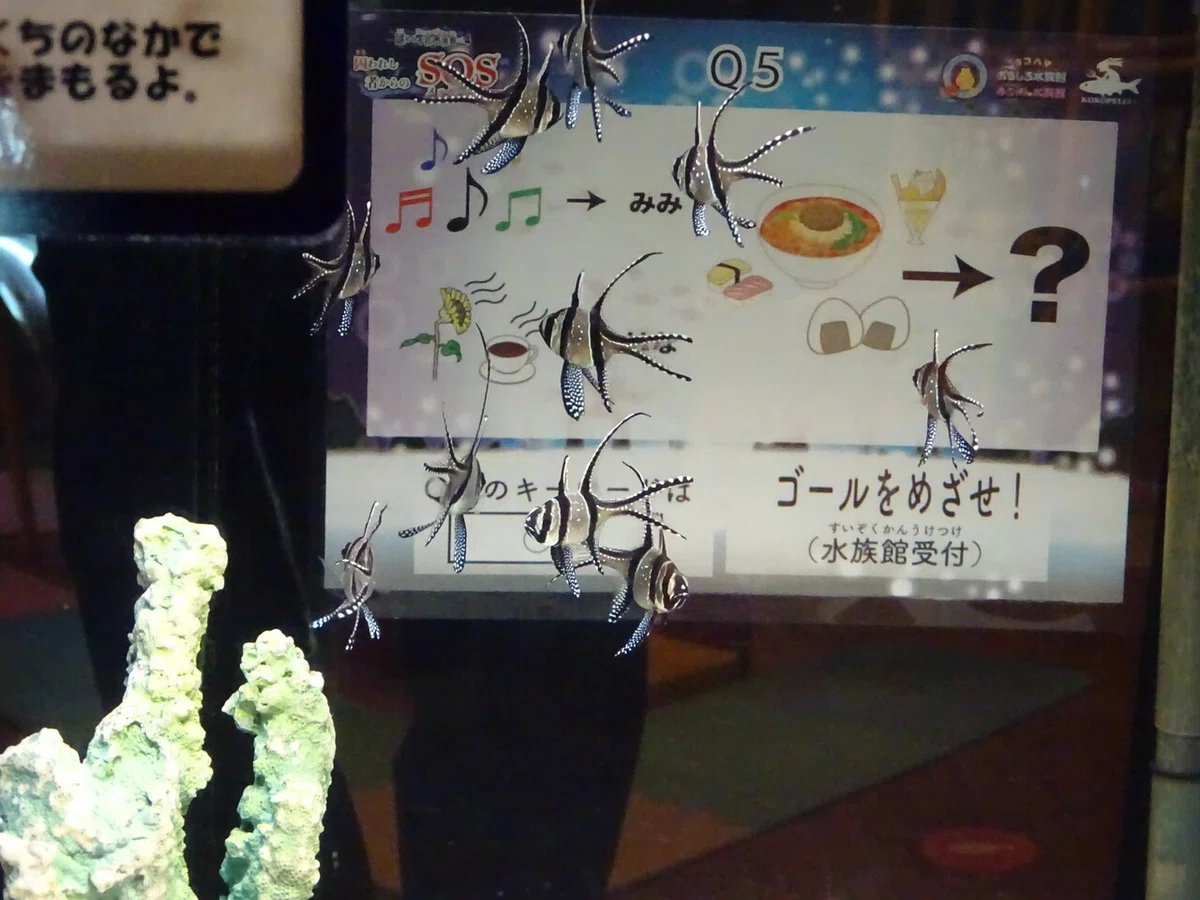 画像173