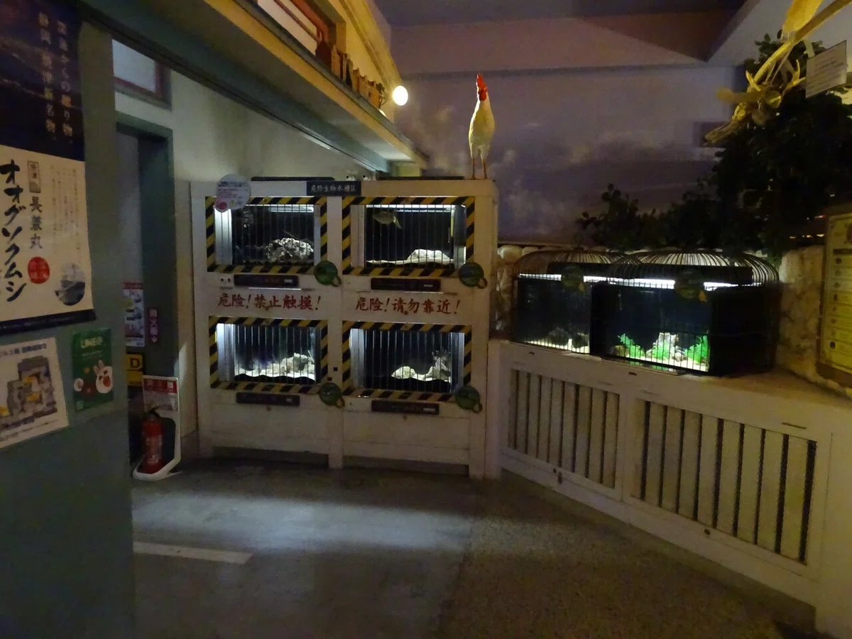 画像125