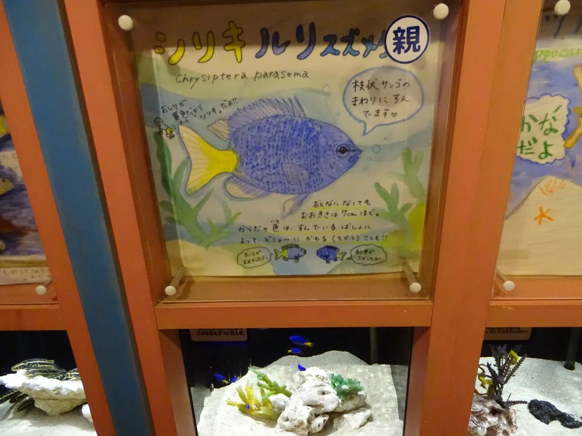 画像150