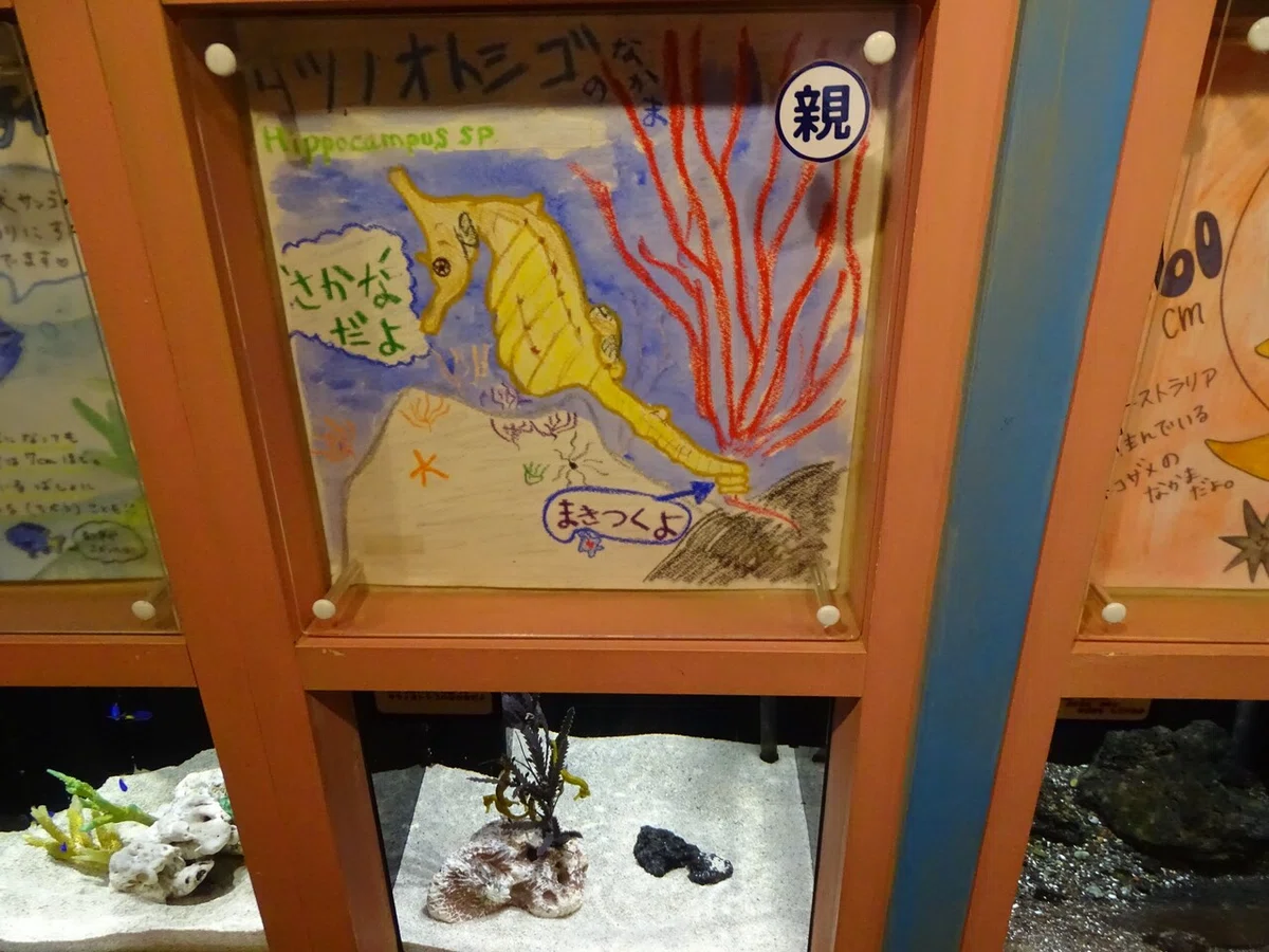 画像152