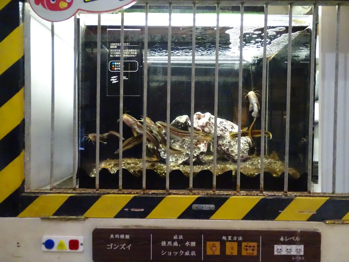 画像116