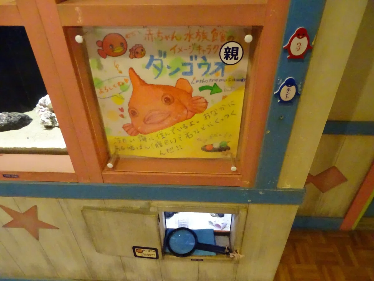 画像161
