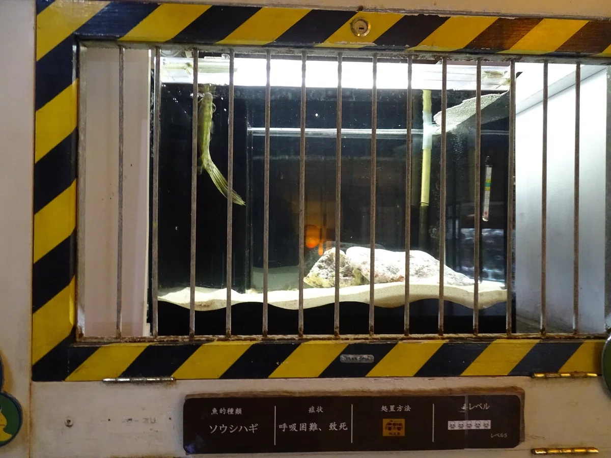 画像118