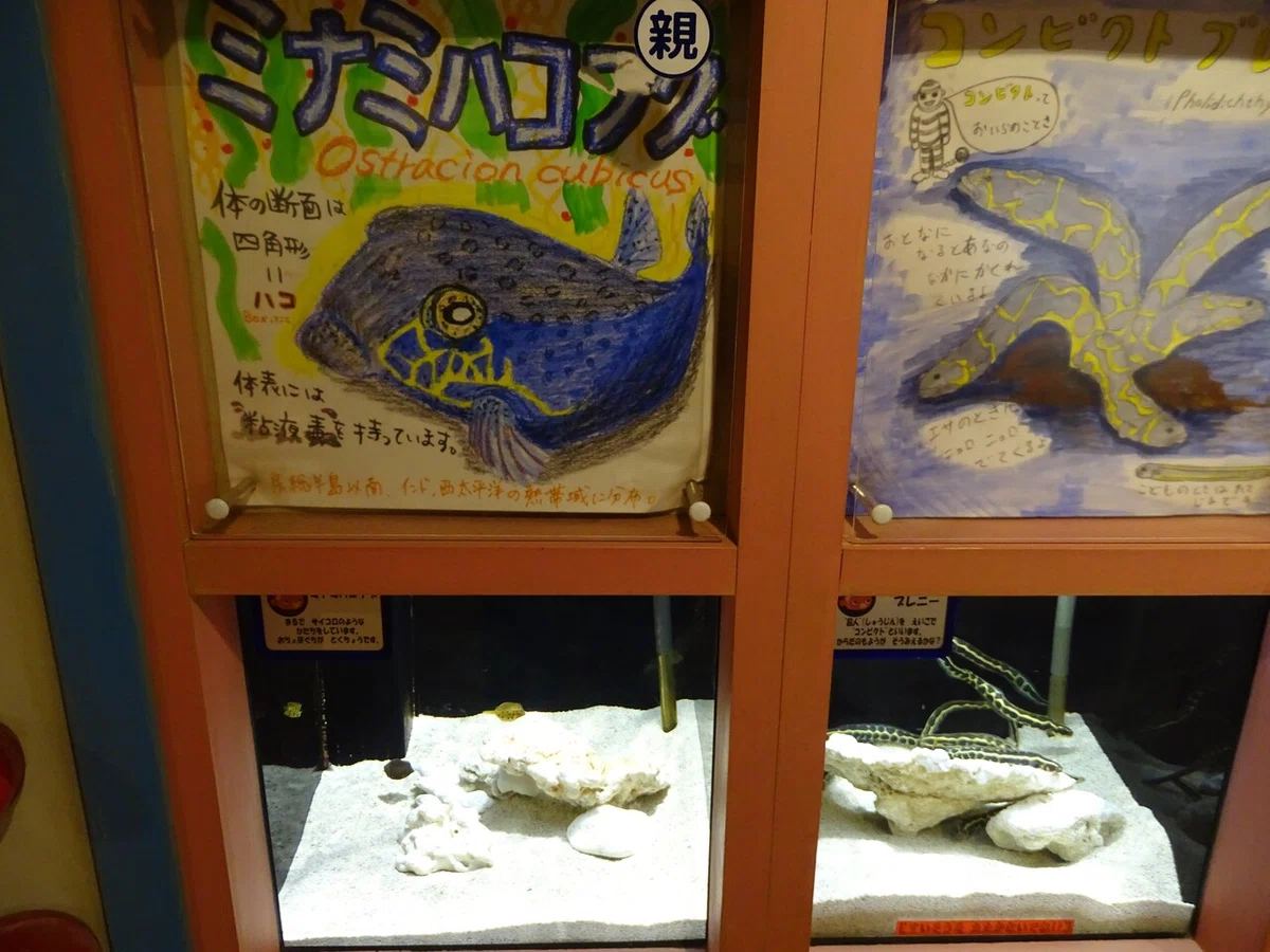 画像146