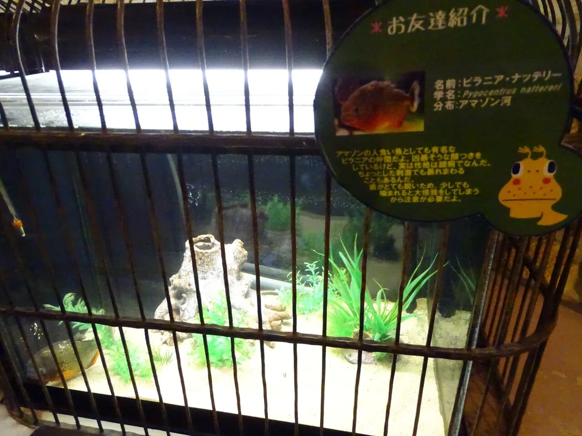 画像122