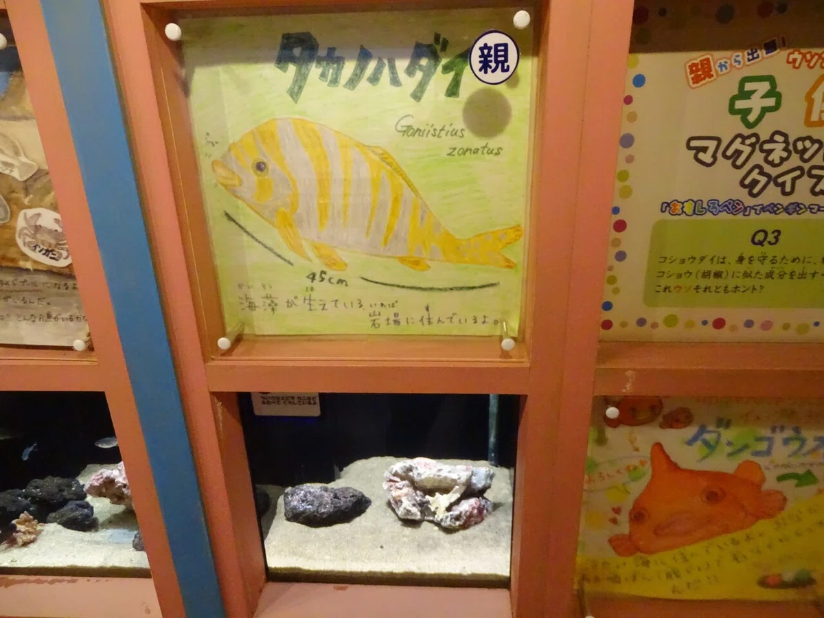 画像159
