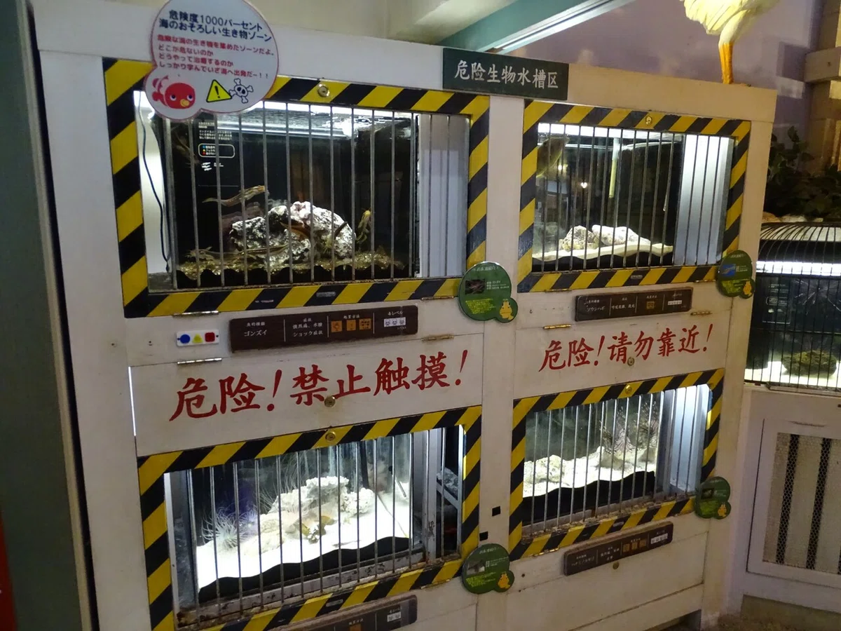 画像115