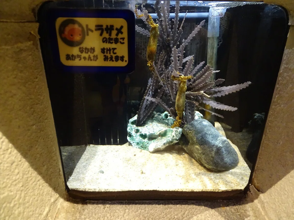 画像137