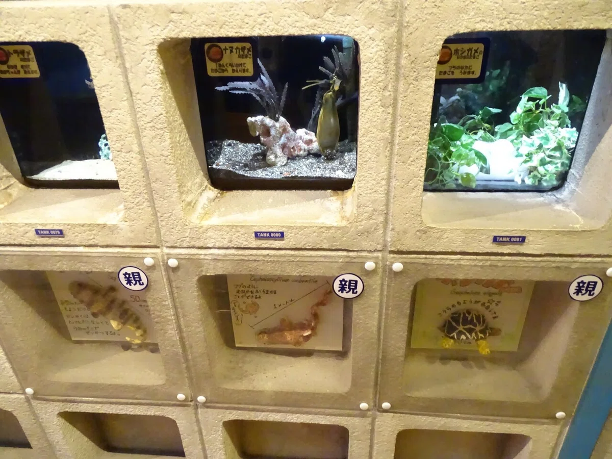 画像140