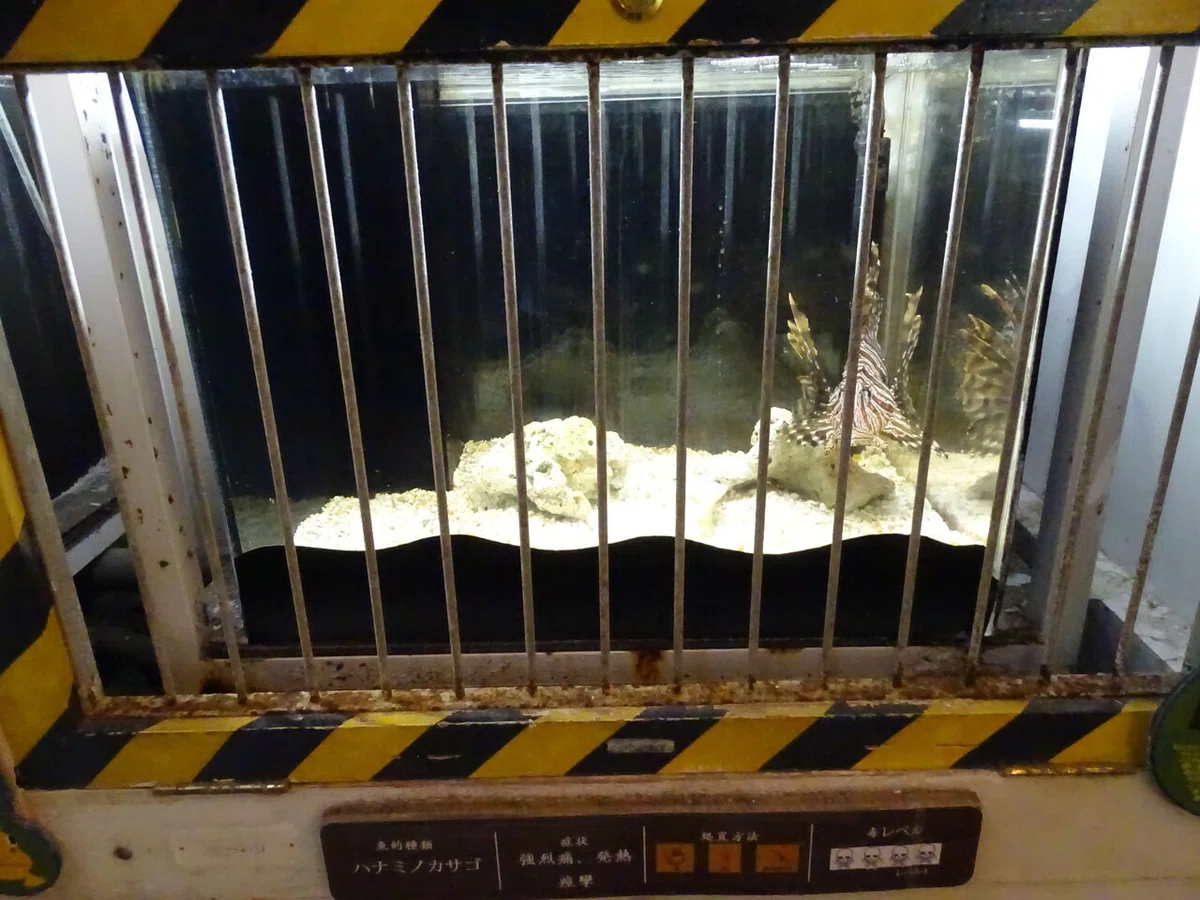 画像119