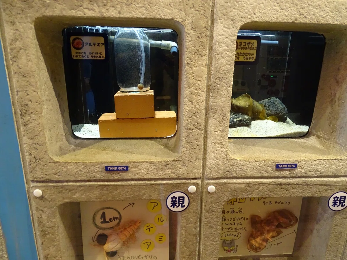 画像131