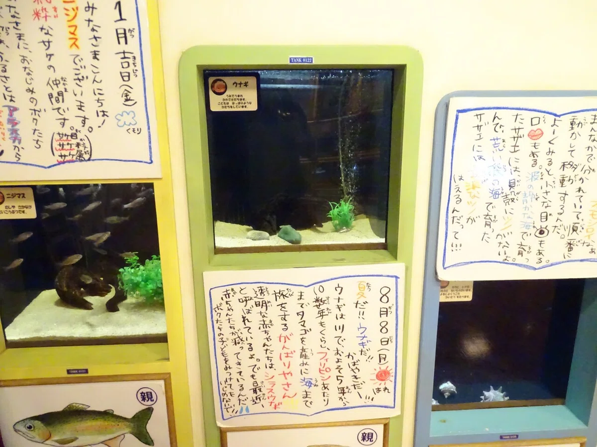 画像167