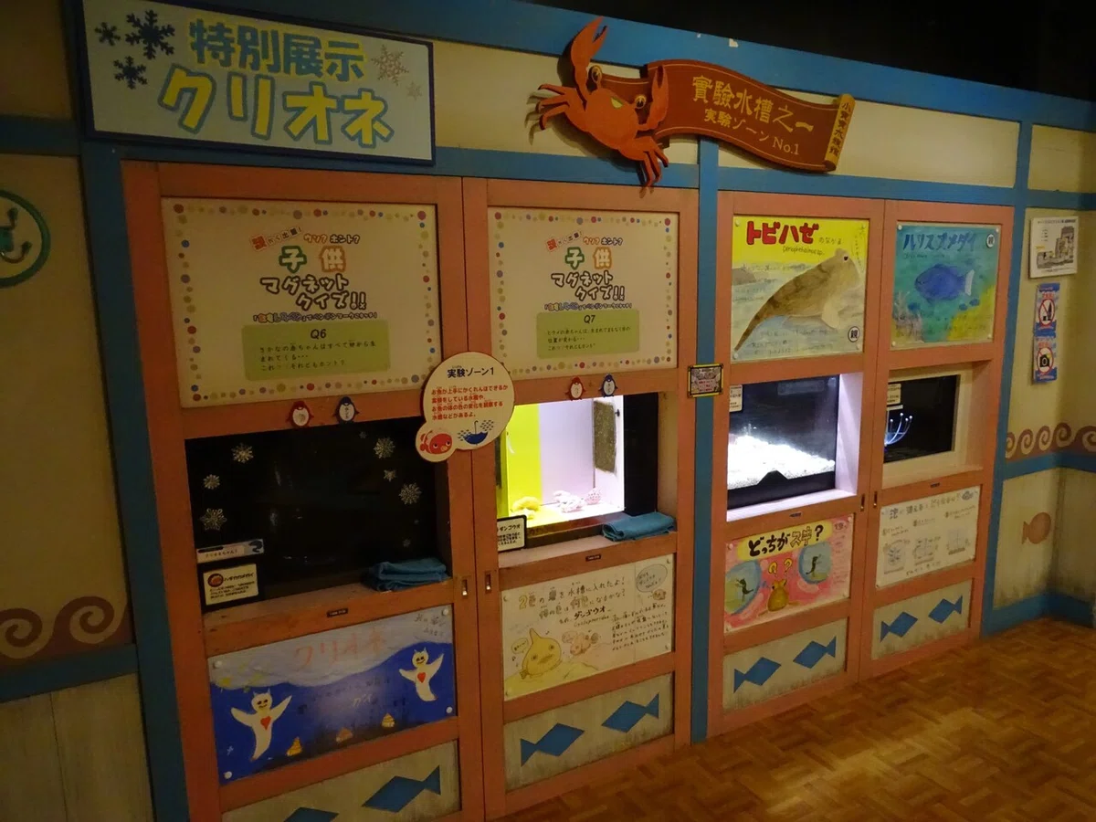 画像175