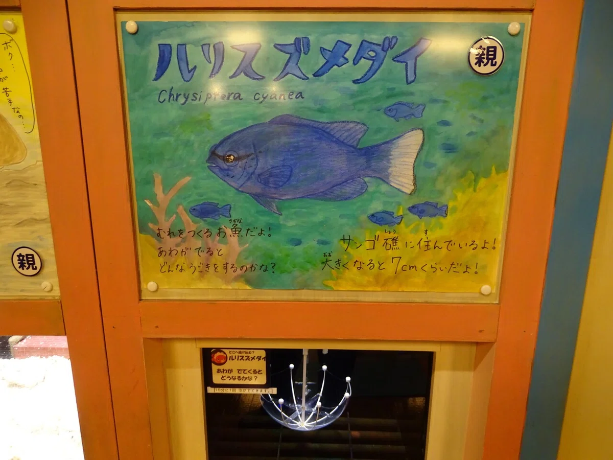 画像184