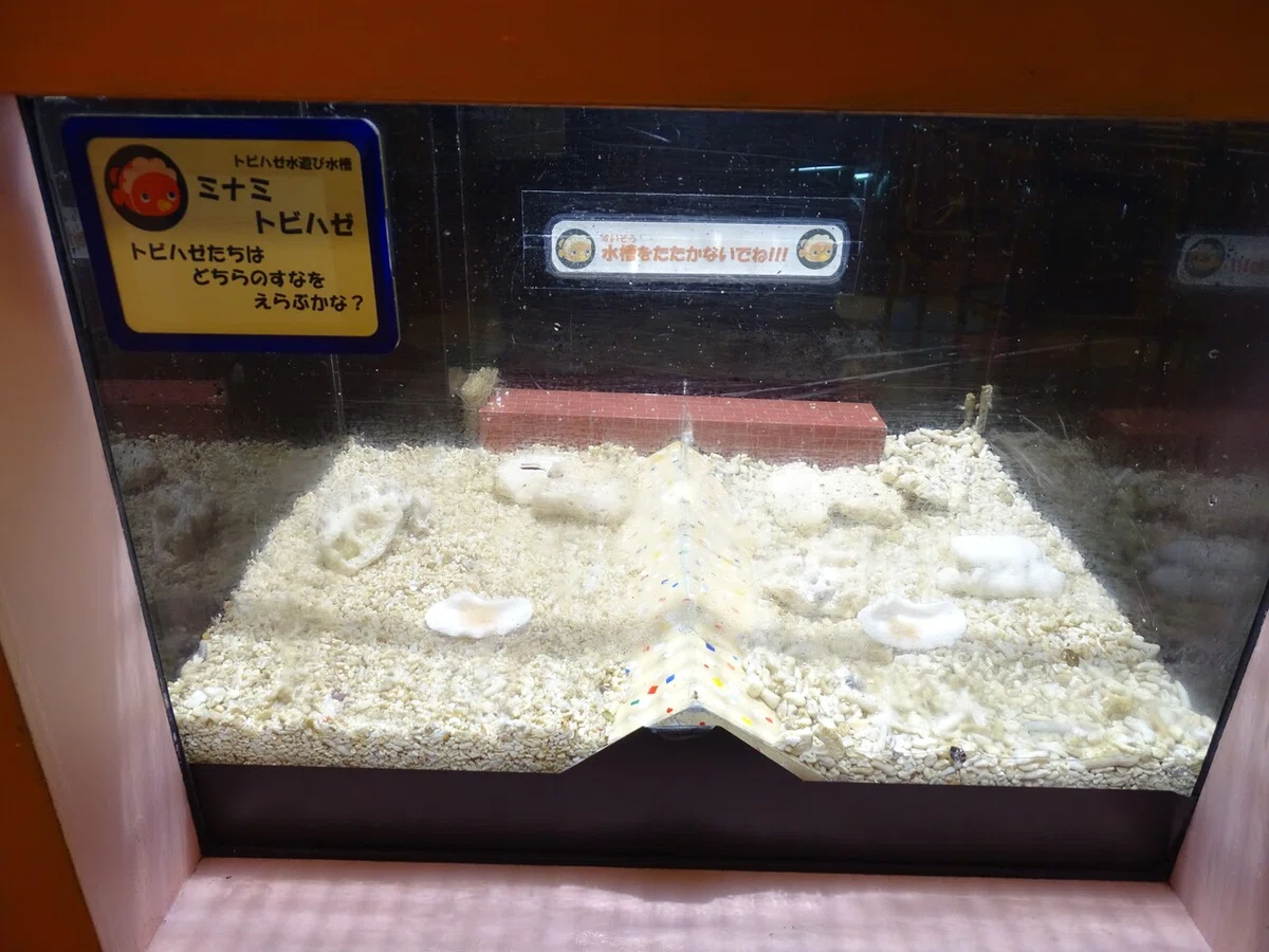 画像182