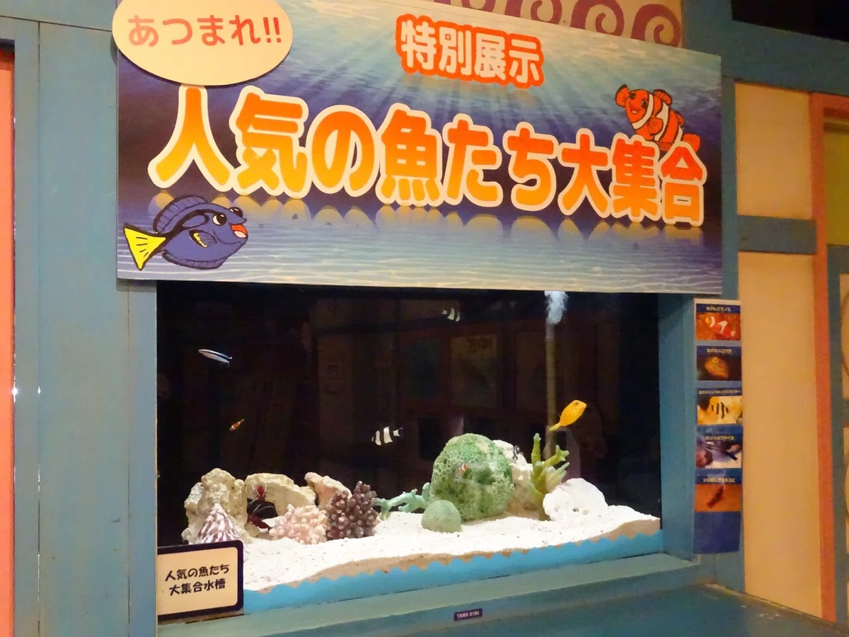 画像170