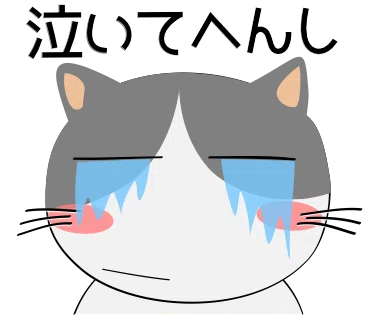 画像13