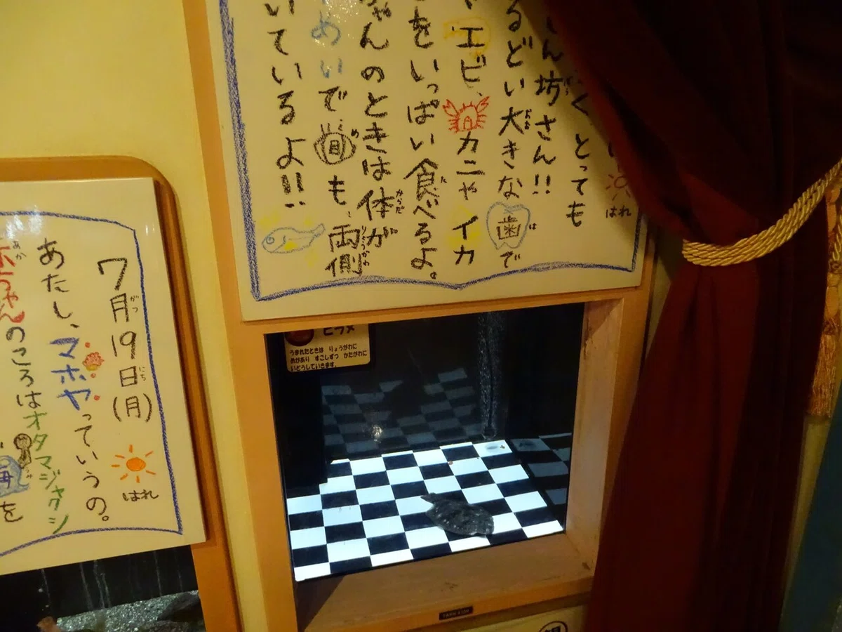 画像193