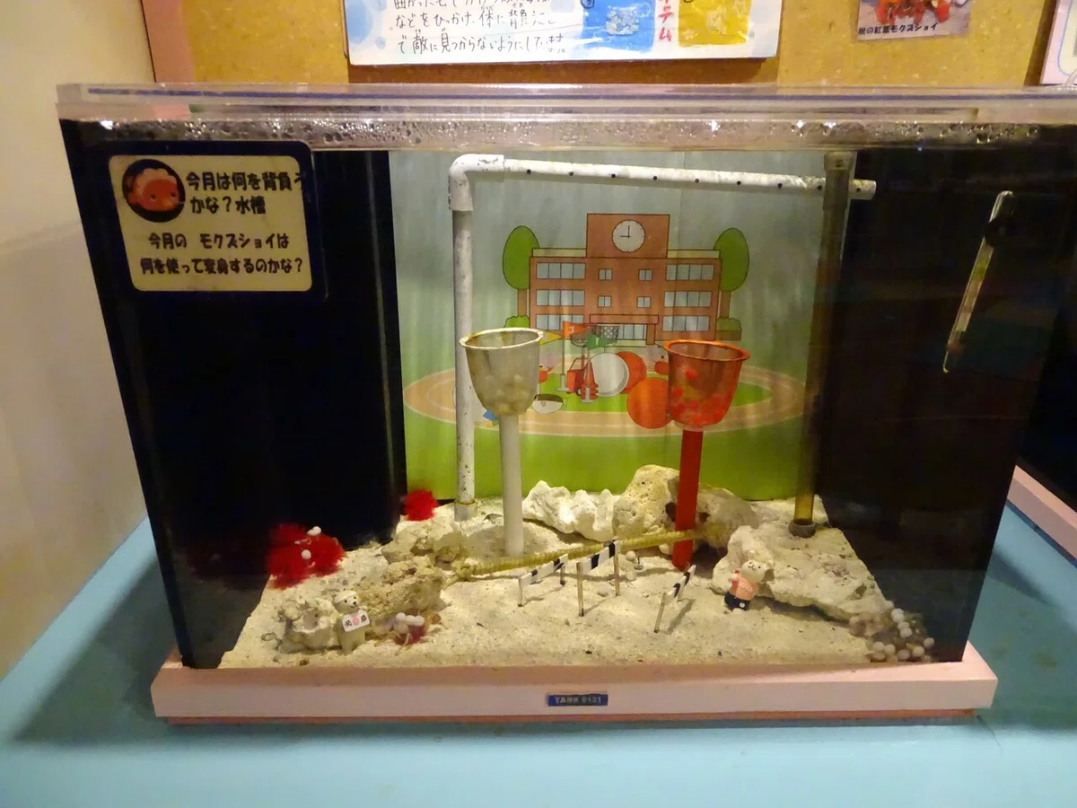 画像195