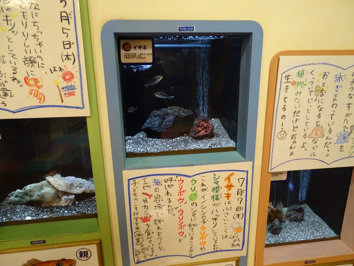 画像192