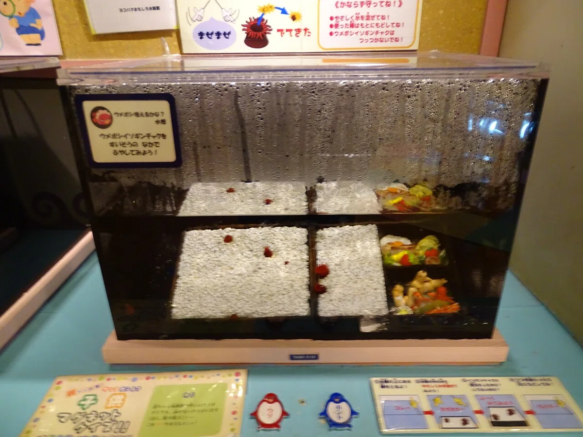 画像198