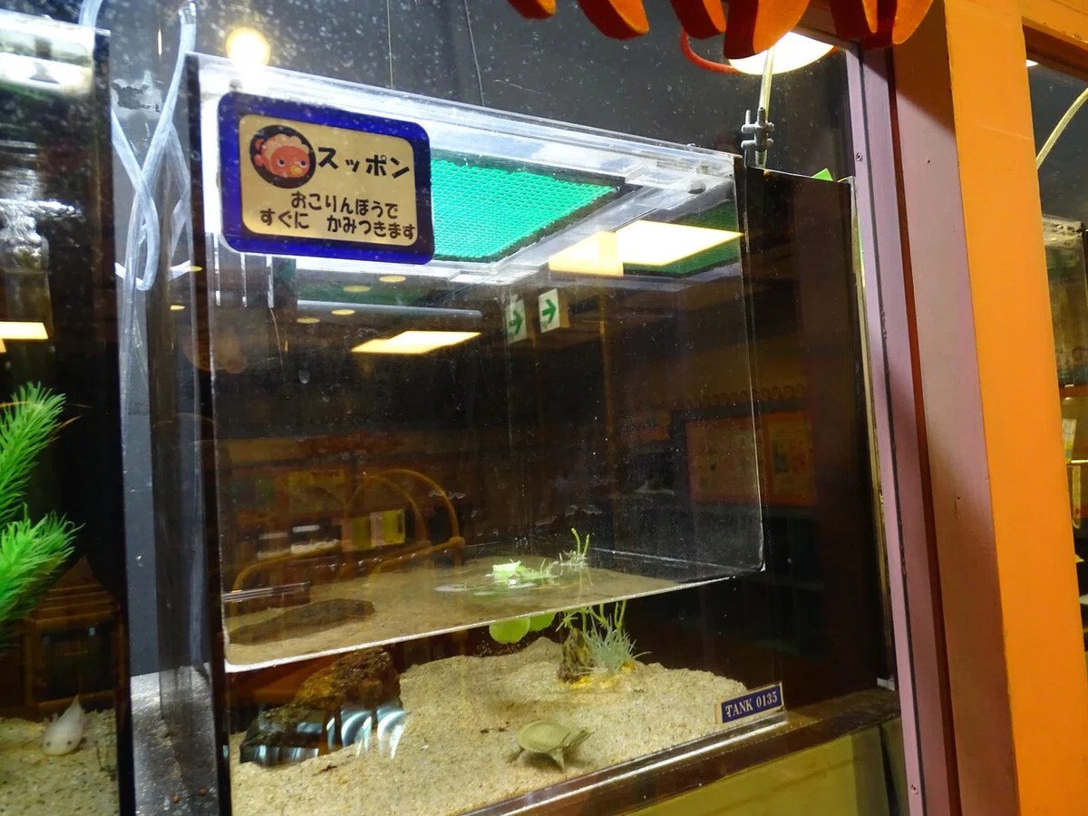 画像202