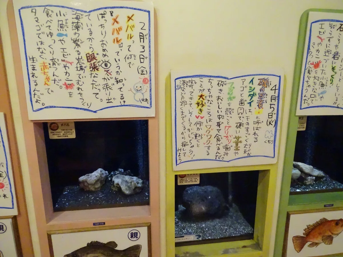 画像191