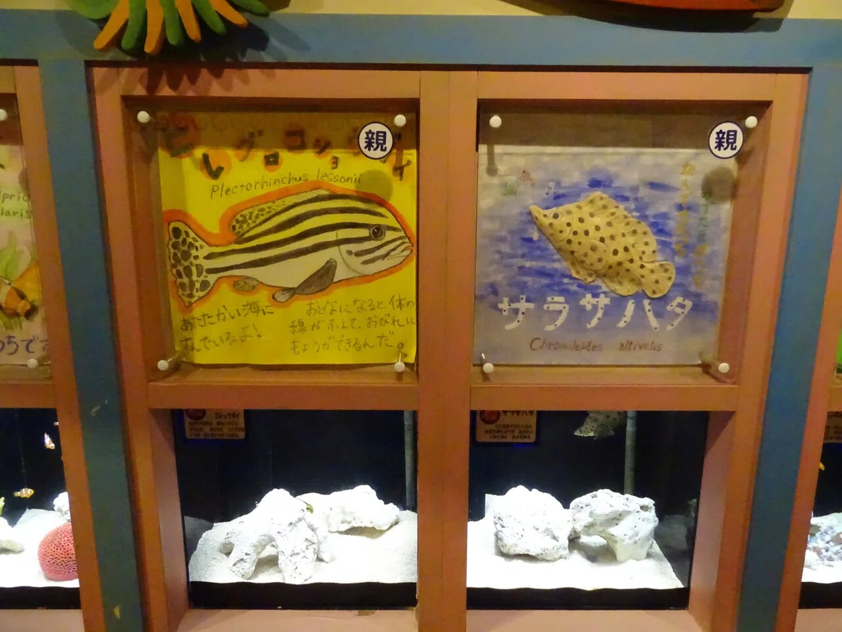 画像211