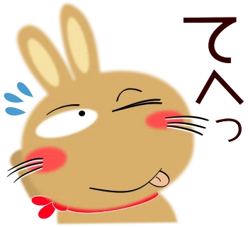 画像17