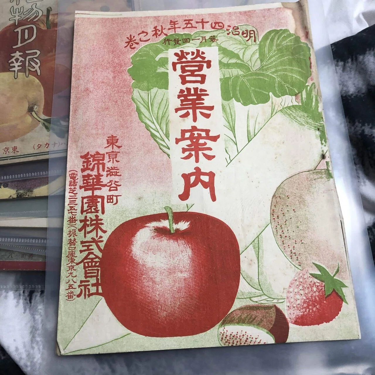 国光｢盛者必衰のことわり｣｜はたんきょー
