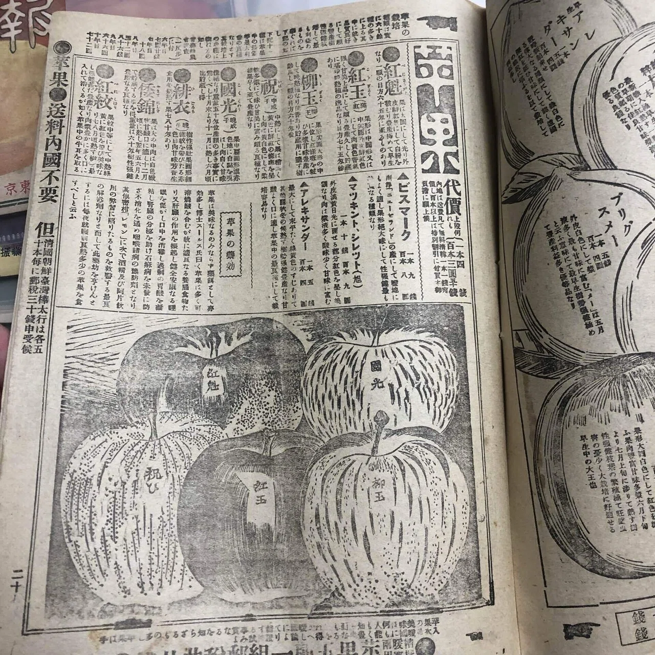 国光｢盛者必衰のことわり｣｜はたんきょー