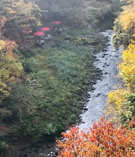 20211112山中渓流沿い