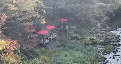 20211112山中渓流沿い (2)