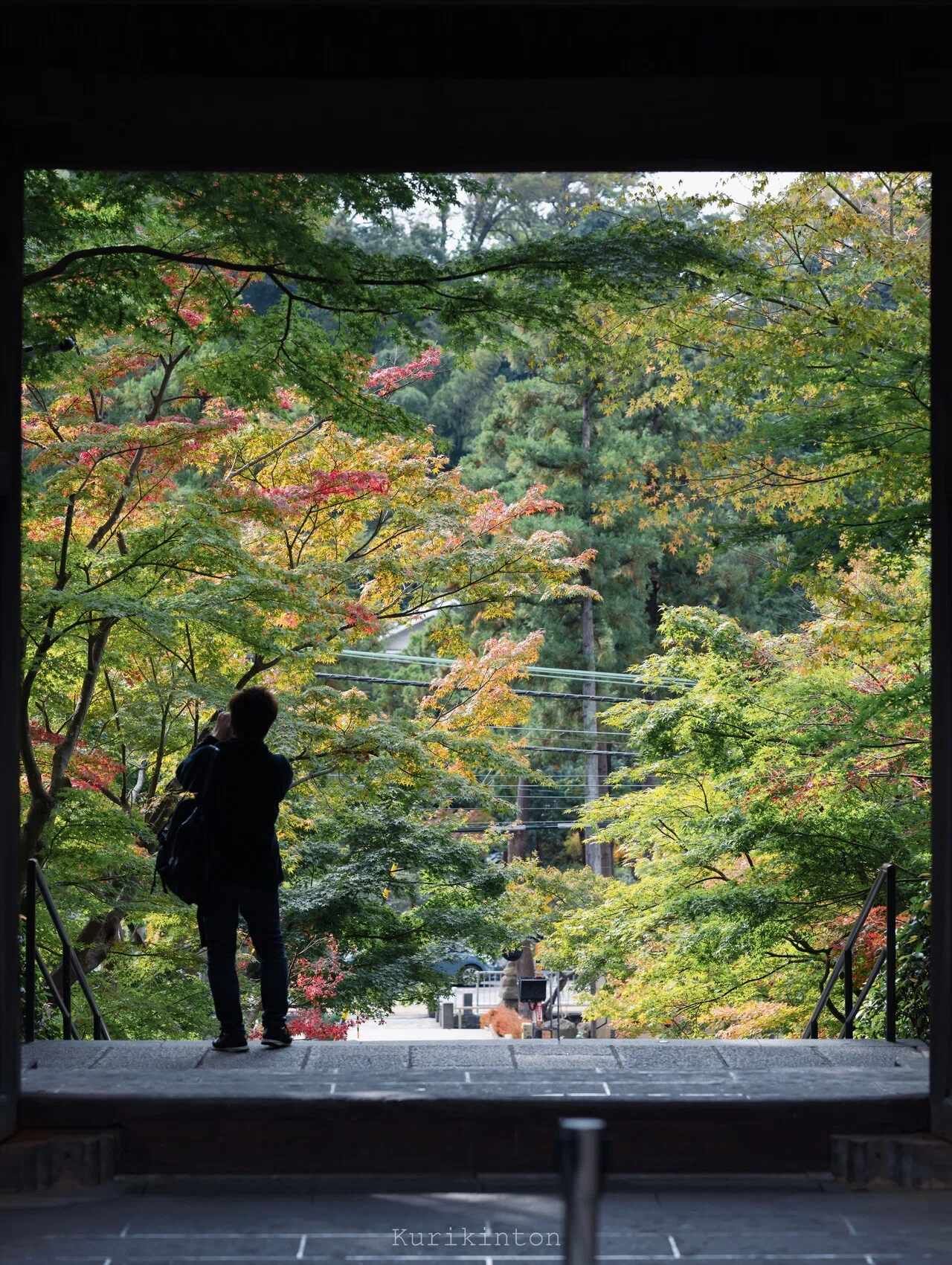 秋を見つけに行ったんです：NIKKOR Z85mm f/1.8S｜栗きんとん