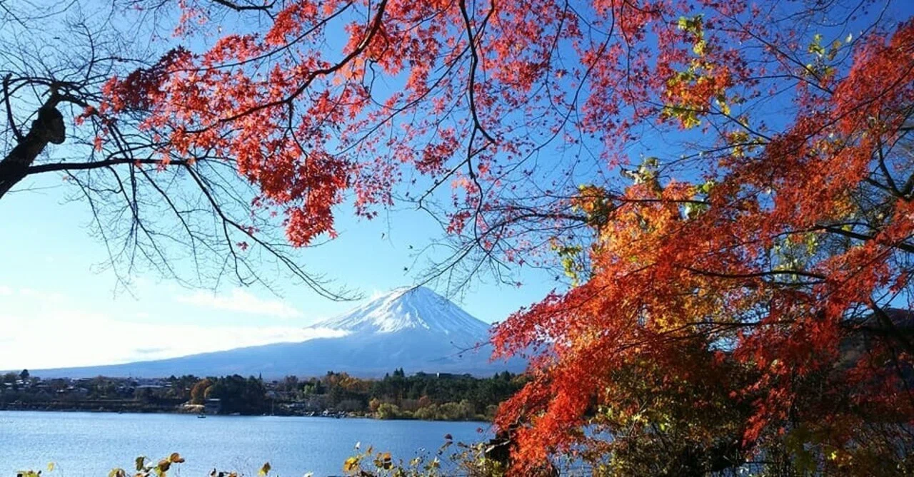 意外な建造物もある横須賀の富士山「三浦富士」をゆく｜にしお@世界