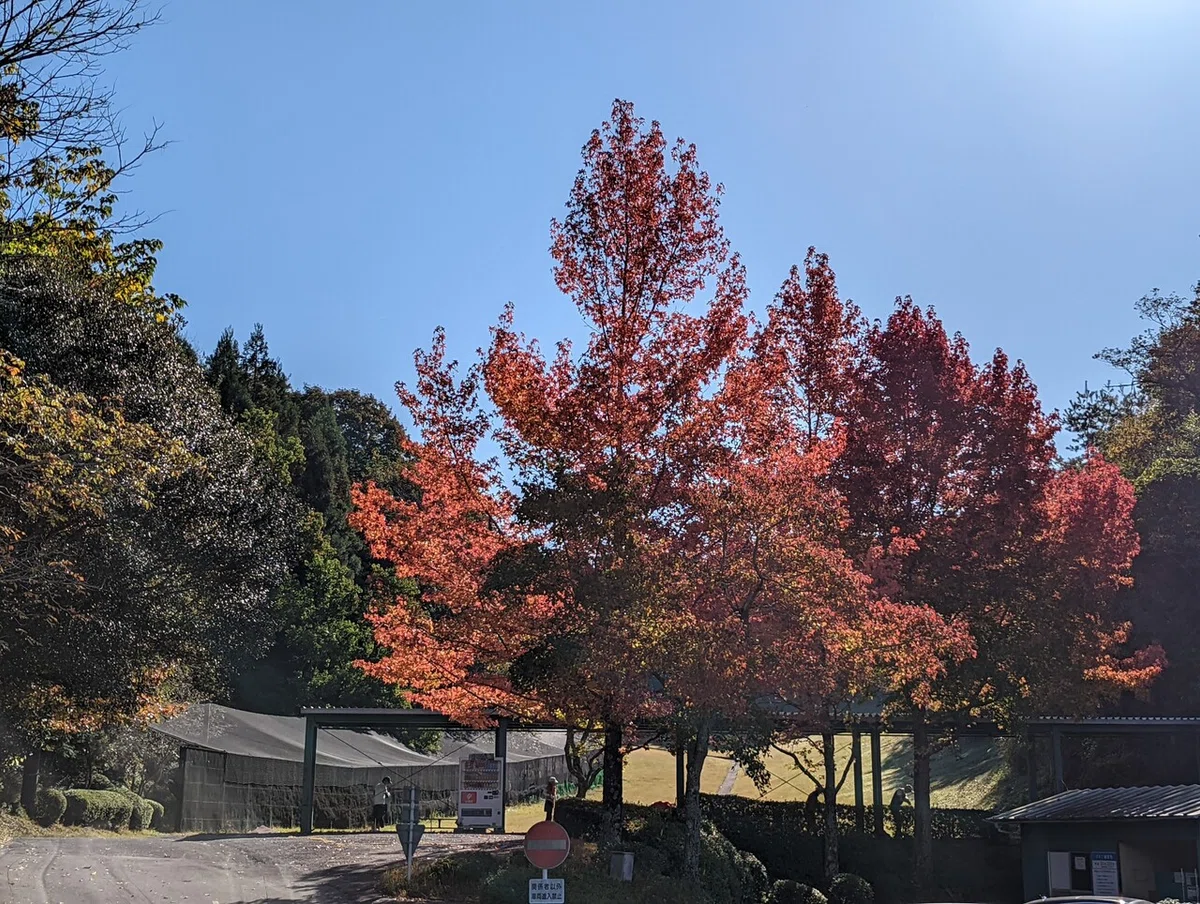 画像3