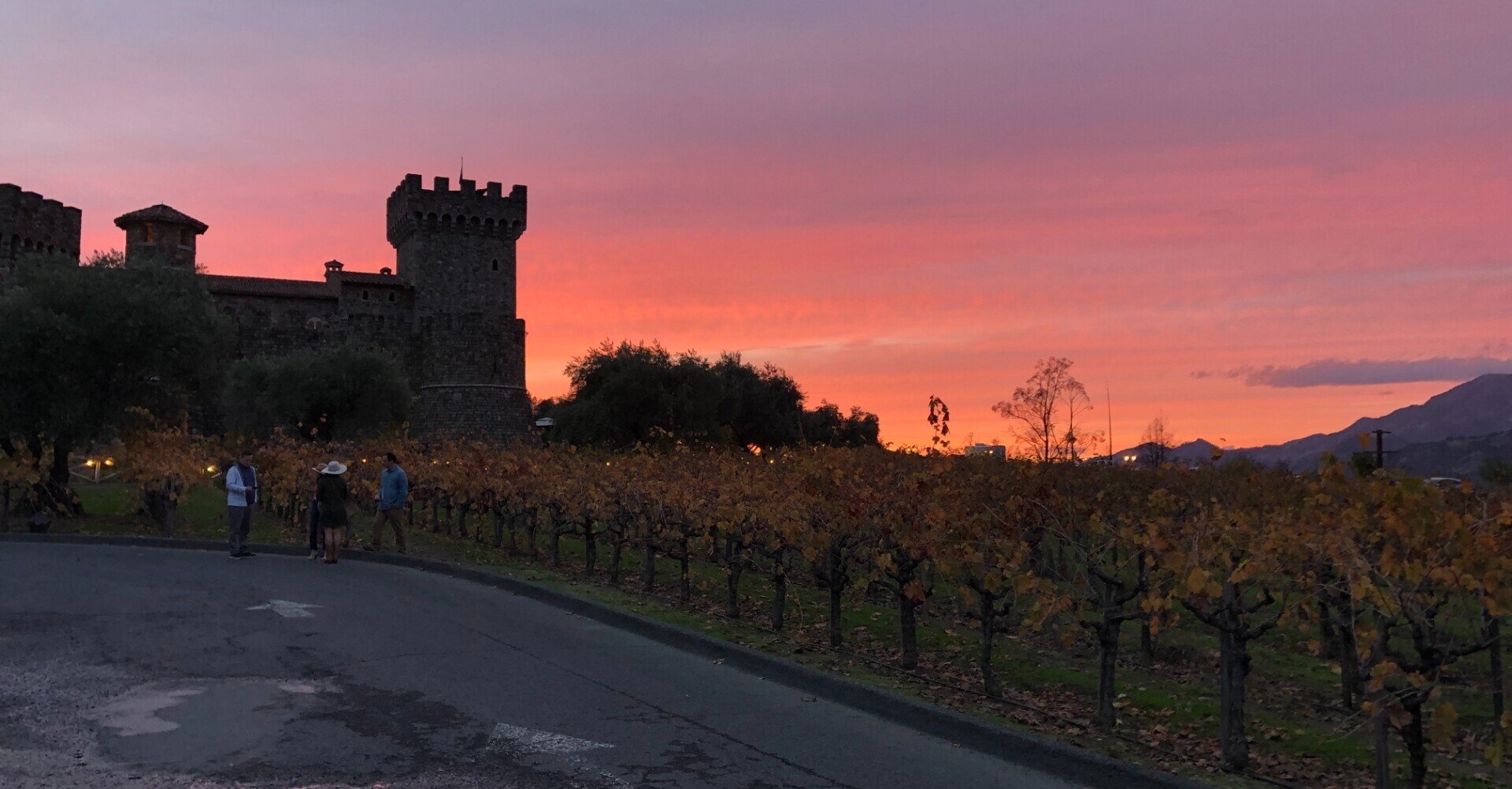 ナパバレーの旅①】～子連れで楽しむワインカントリー。｜小倉 麻未