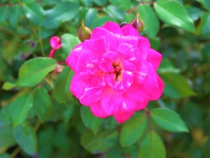 画像5