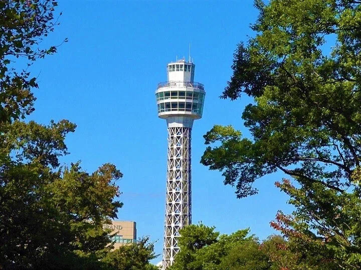 画像12