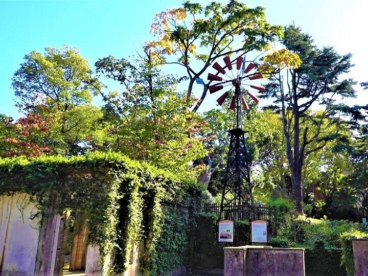 画像13