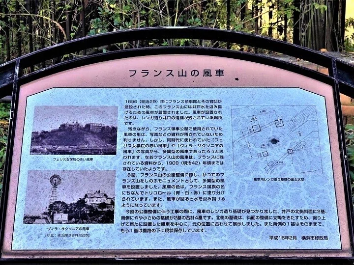画像14
