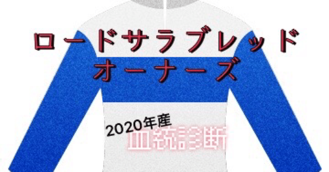 ロードサラブレッドオーナーズ@浅〜い血統診断②｜けーばえーくん