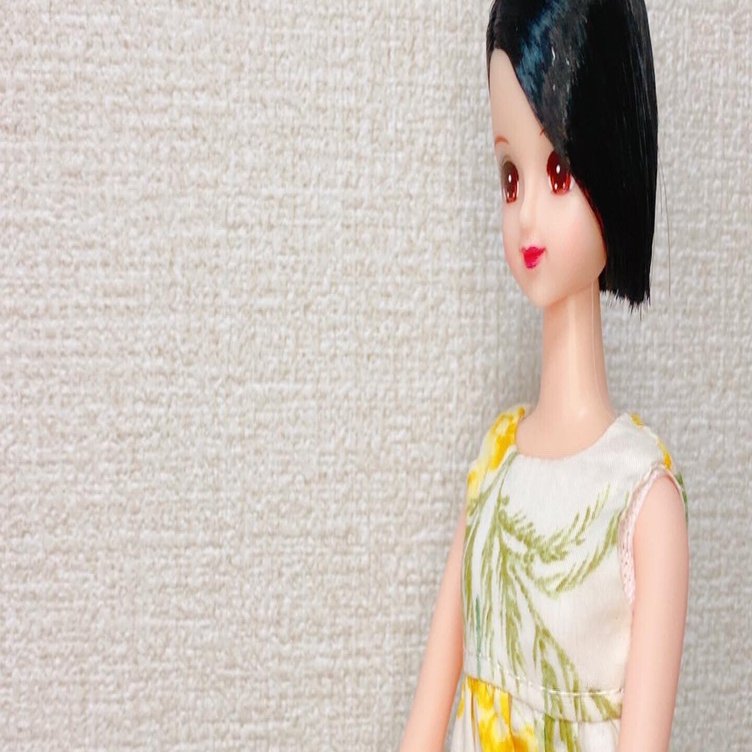 ドール界隈初心者が集めた情報源たち※随時更新｜直人