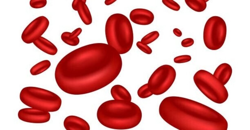 赤血球の謎：tweetまとめ