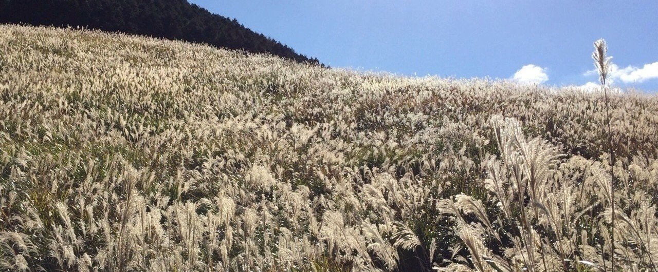 集中力が プツン と 音を立てて切れた話 ゆきンこ Note