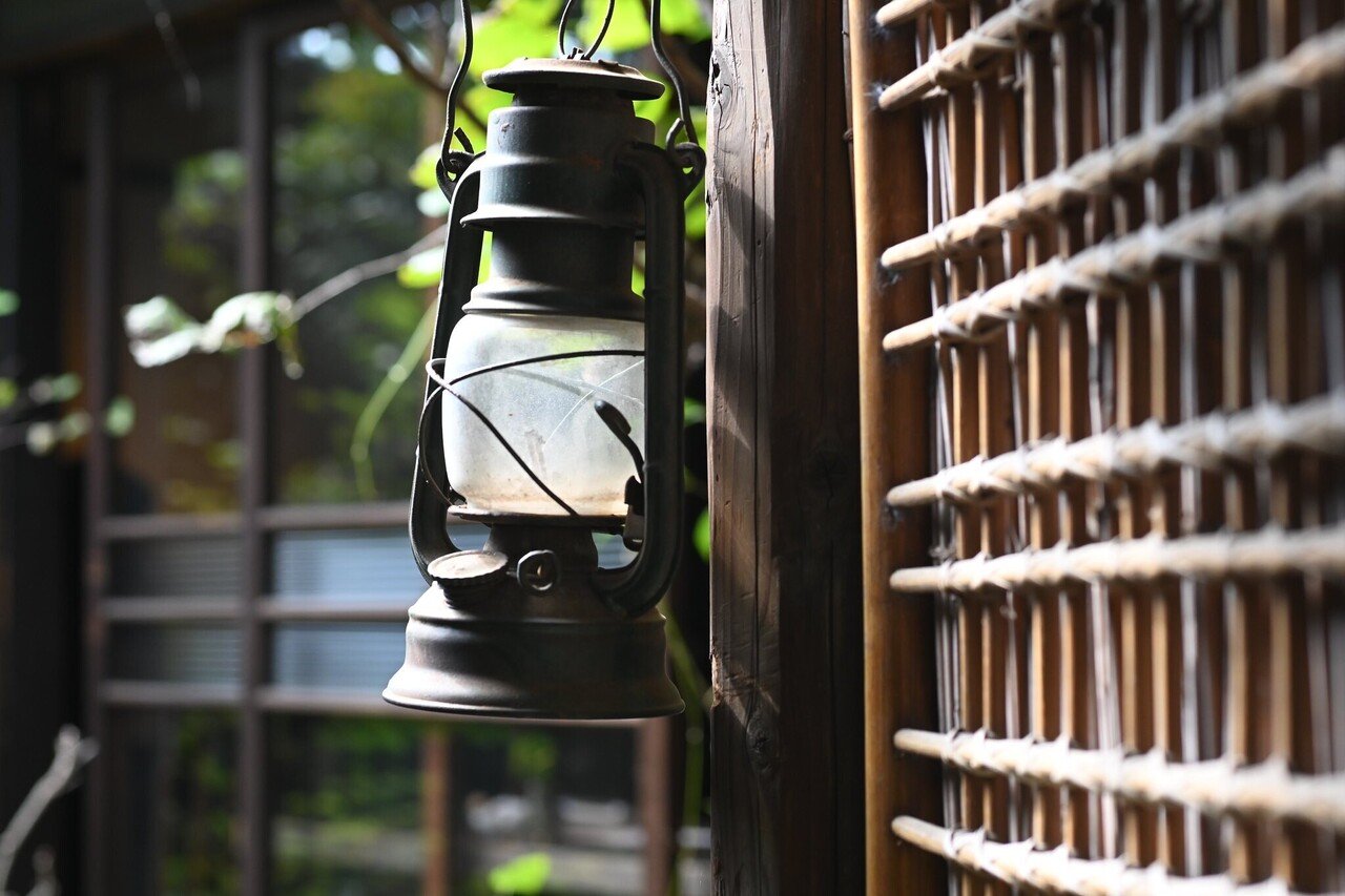 [良品/作例有] Nikon AF Micro Nikkor 55mm f2.8 作例】Nikon F2とAI Micro-Nikkor で白馬の桜を撮る | Film Sketch