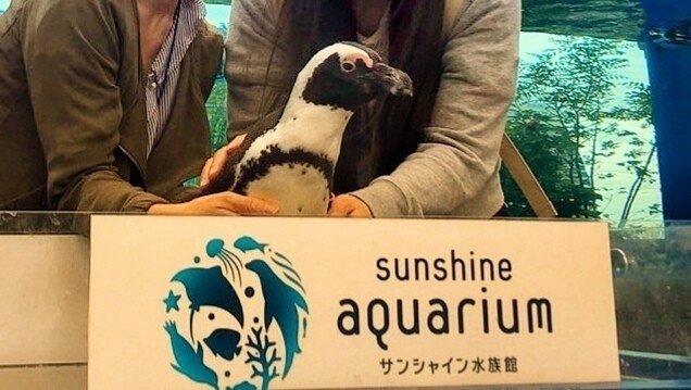 水族館お泊まり体験 白イタチ Note 水族館お泊まり体験 白イタチ Note