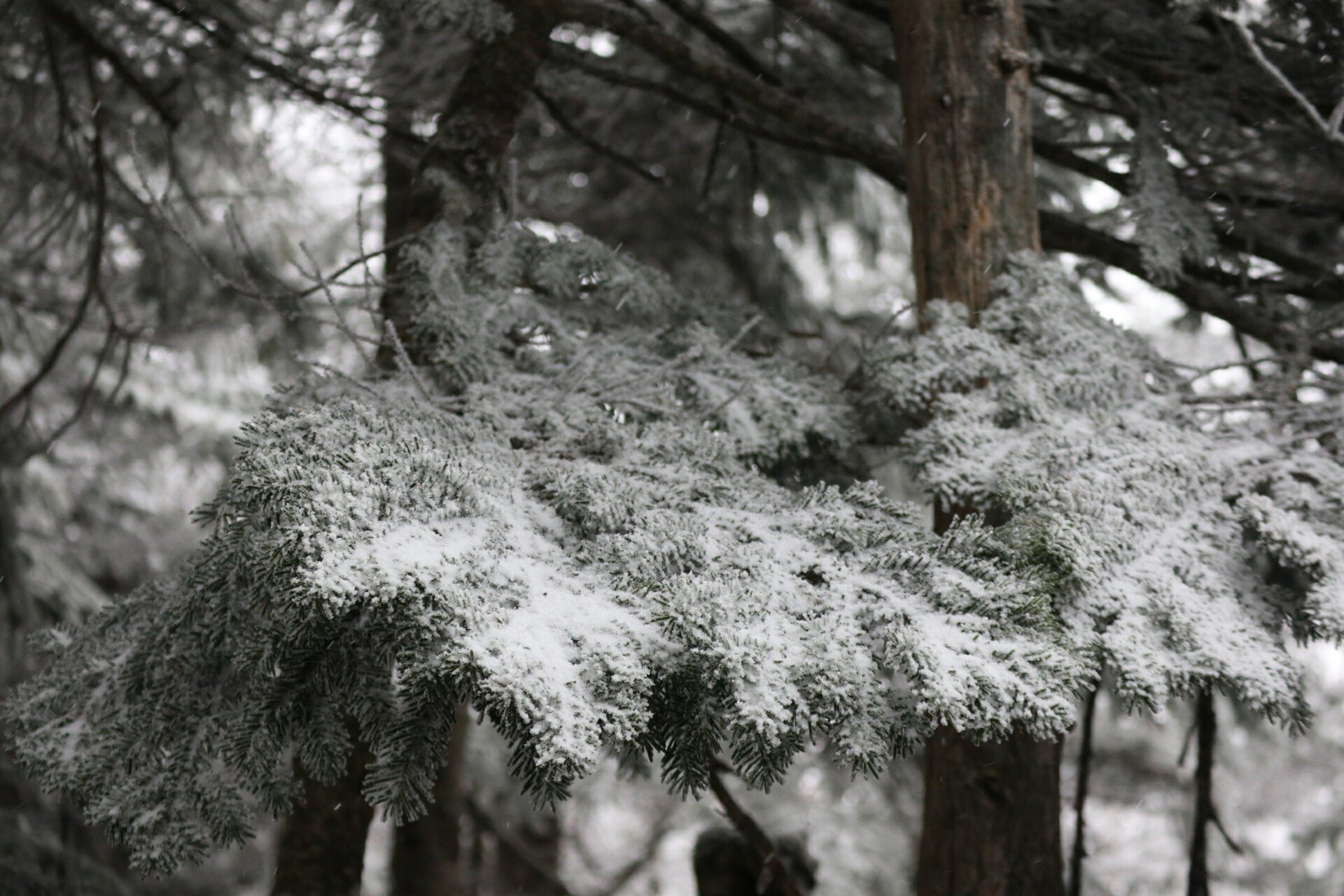 メリノウールのセットアップで雪山を歩く”を実践してみた｜田中圭