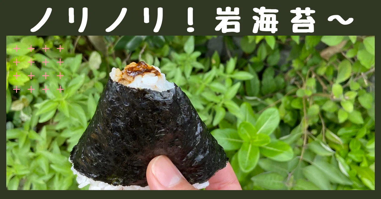 ノリノリ！岩海苔〜｜ハスつか